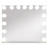 Aluna 15 LED Bulbs Hollywood Vanity Mirror Pro Max